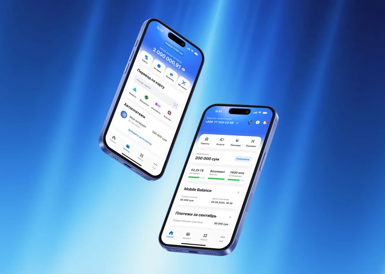 App interface