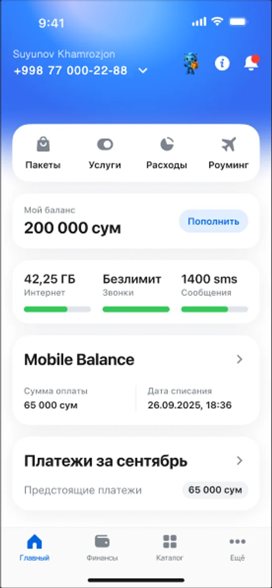 Mobile: balance, bundles, spending
